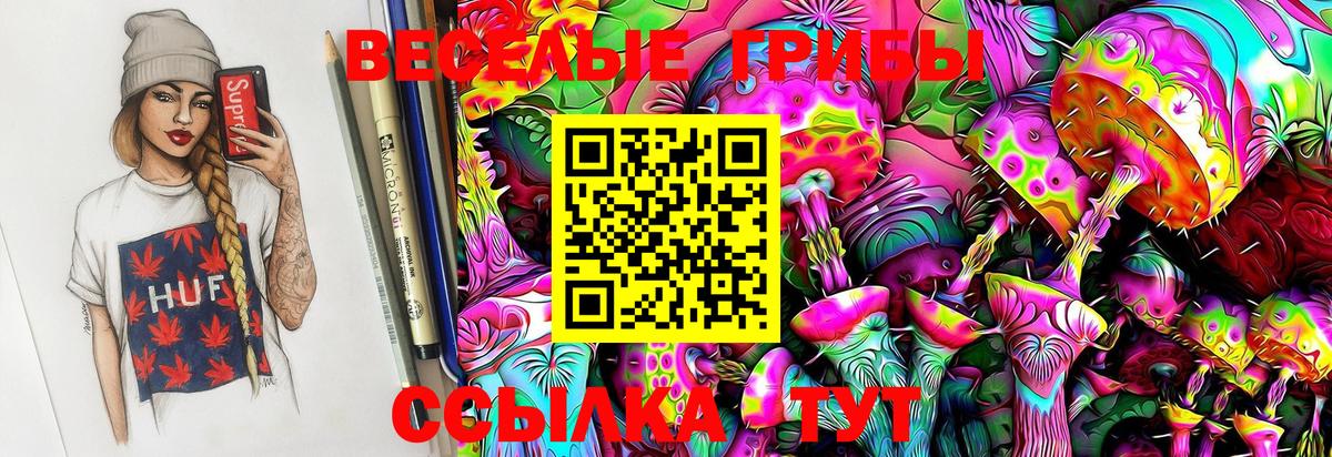 Галлюциногенные грибы Psilocybe  что такое   Качканар  Вход с VPN  Галлюциногенные грибы MAGIC MUSHROOMS 