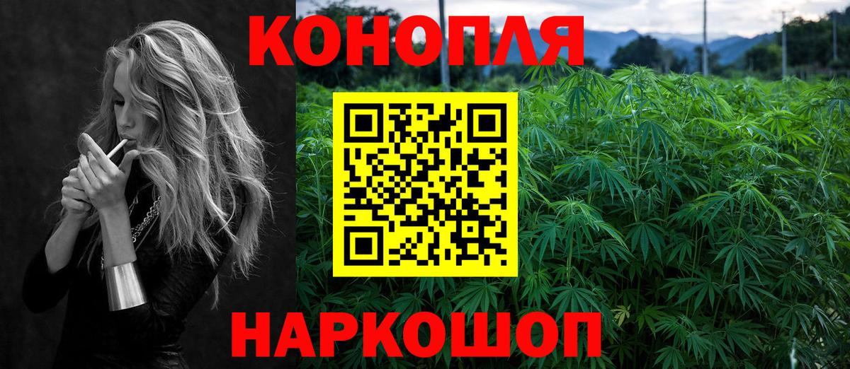 Бошки Шишки OG Kush  Вход с VPN  Качканар  Марихуана план  Бошки марихуана конопля  Каннабис тримм 